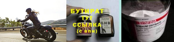 прущие грибы Медногорск