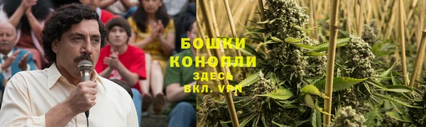 дурь Майский