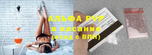 прущие грибы Медногорск
