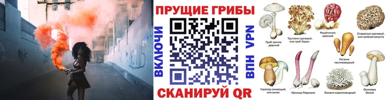 Галлюциногенные грибы Magic Shrooms  Шадринск 