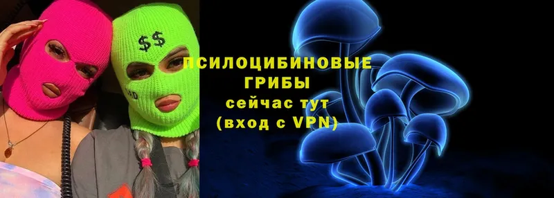 Галлюциногенные грибы Psilocybine cubensis  Шадринск 