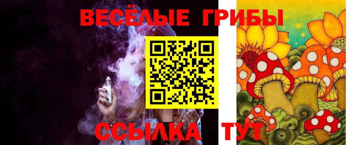 Псилоцибиновые грибы ЛСД  Вход с VPN  Псилоцибиновые грибы Psilocybe  Шадринск 