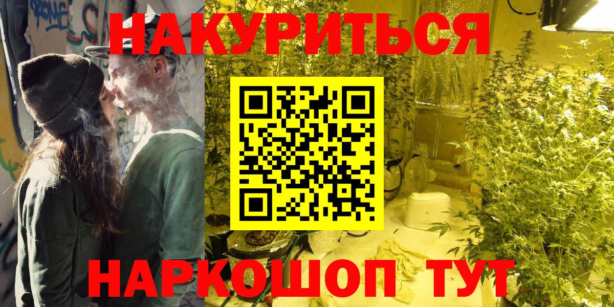 Конопля план Шадринск
